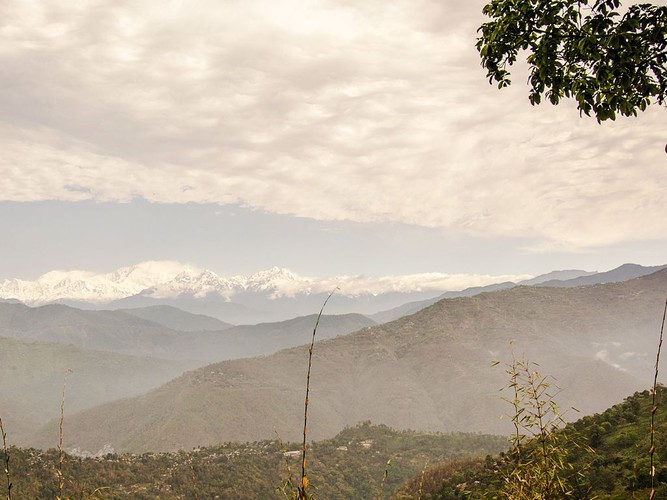 Mountain Bliss Darjeeling