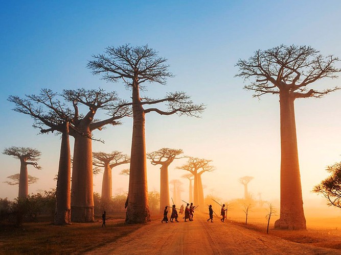Top Tourist Attractions in Madagascar