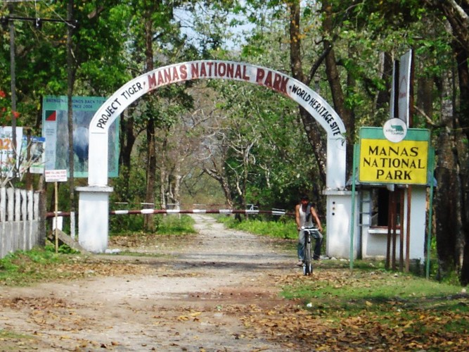Manas National Park - Dooars, West Bengal