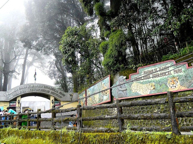 The Himalayan Zoological Park, Gangtok