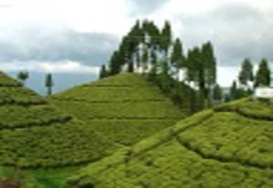 Mirik