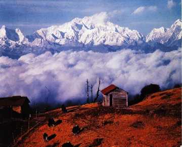 Himalayan Treasures