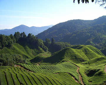 Himalayan Trail