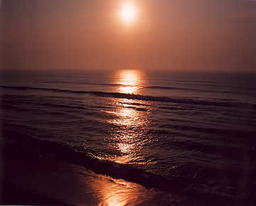 Sea Shore Of Orissa