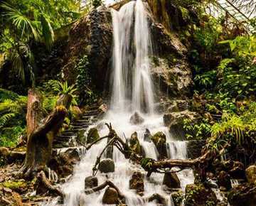 Treasure Of Uttarakhand