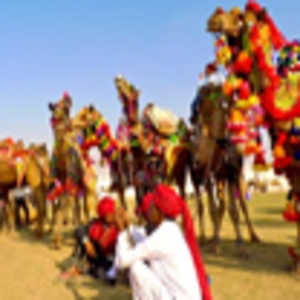 Pushkar Fair