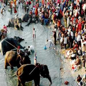 Sonepur Cattle Fair 