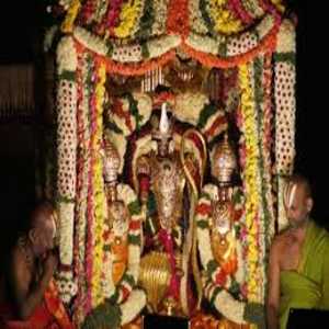 Tirupati Festival