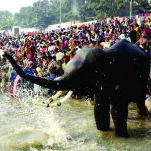 Fairs & Festivals of Bihar 