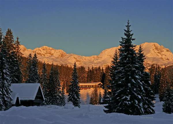 Pokljuka_226530.jpg