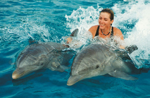 woman-swimming-with-dolphins.jpg