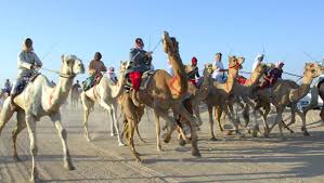sultan_camel_race.jpg