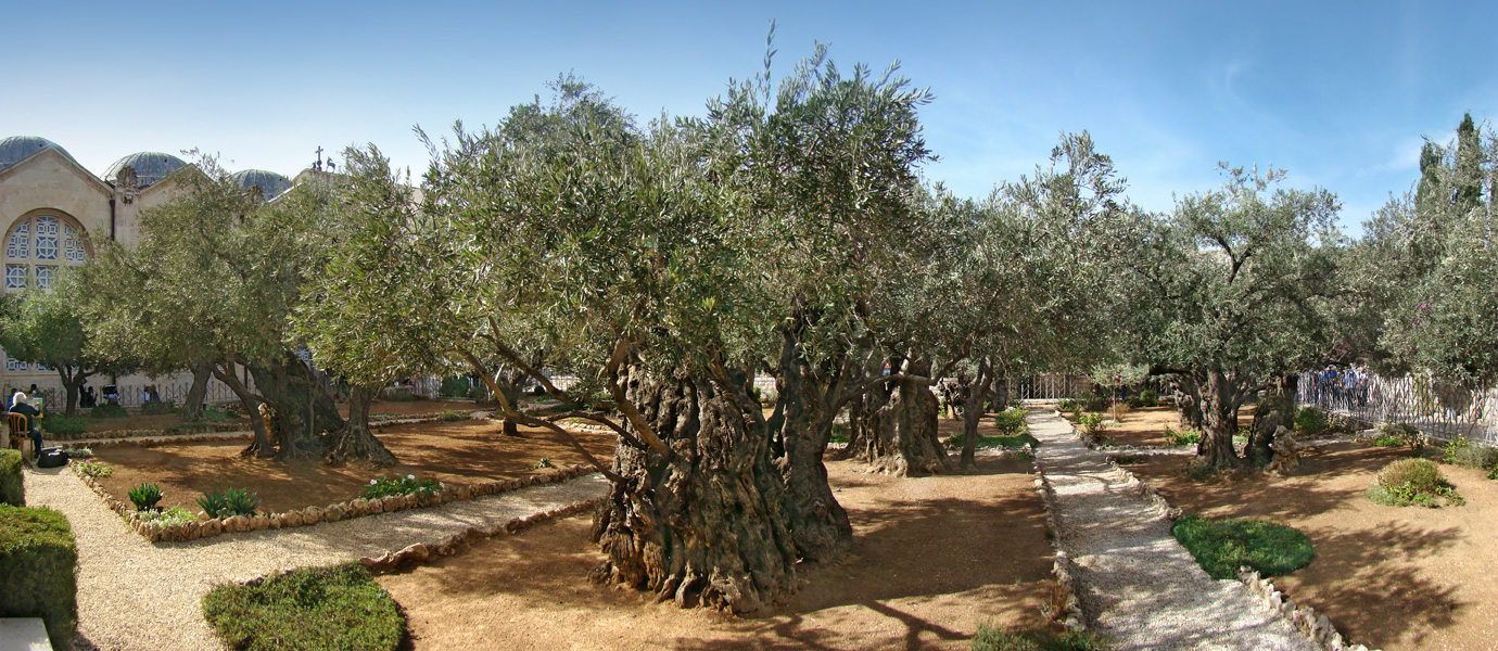 Kibbutz Beer Tuvia - Jerusalem - Ein Karem