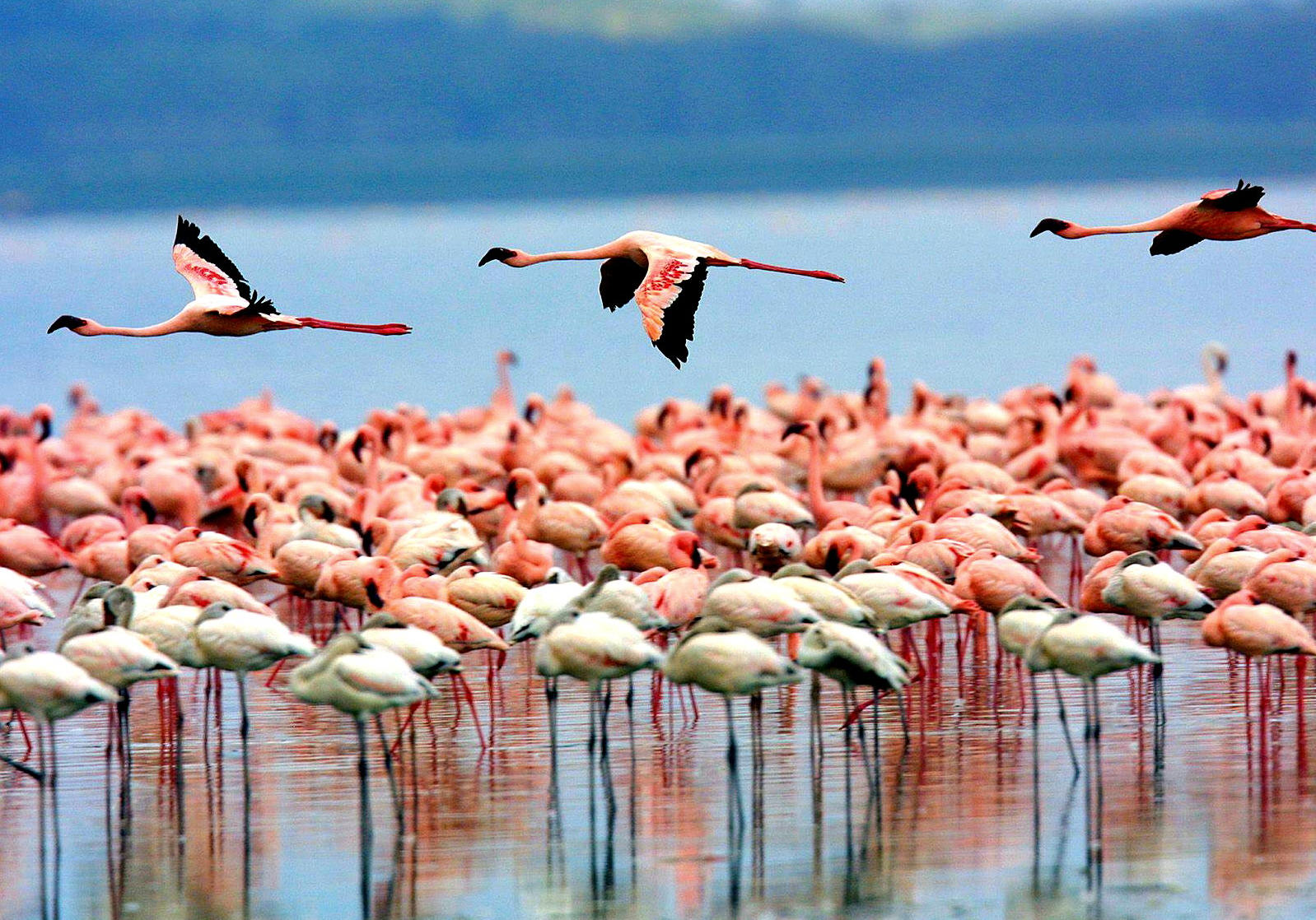 Arusha - Lake Manyara