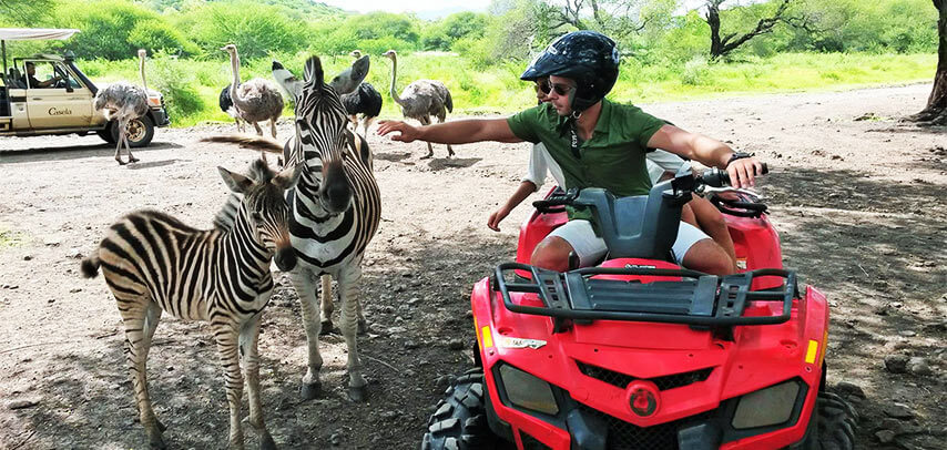 Mauritius (CASELA BIRD PARK)