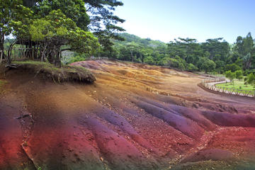 Mauritius (SOUTH TOUR)