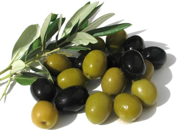 zeytin-5.jpg