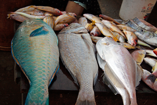 Negombo-fsh-market.jpg