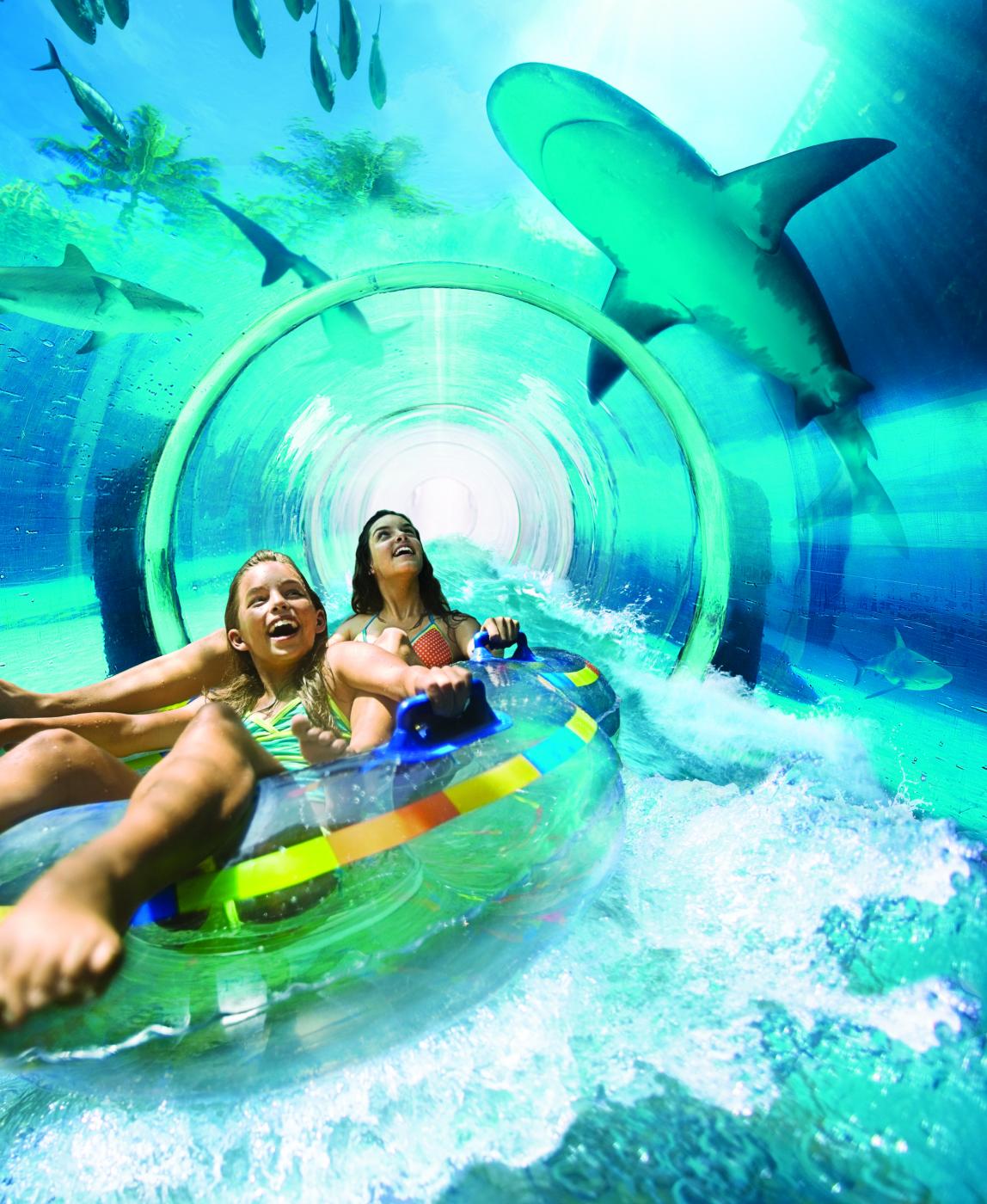 atlantis-dolphin-cay-deep-water-swim-and-aquaventure-nassau-the-bahamas-12.jpg