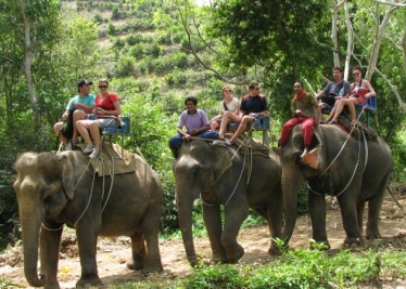 elephant_trekking_safari.jpg