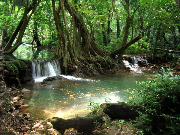 khao_sok_national_park.jpg