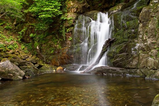 killarney_national_park_killarney.jpg