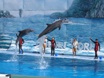 safari_world__marine_park.jpg