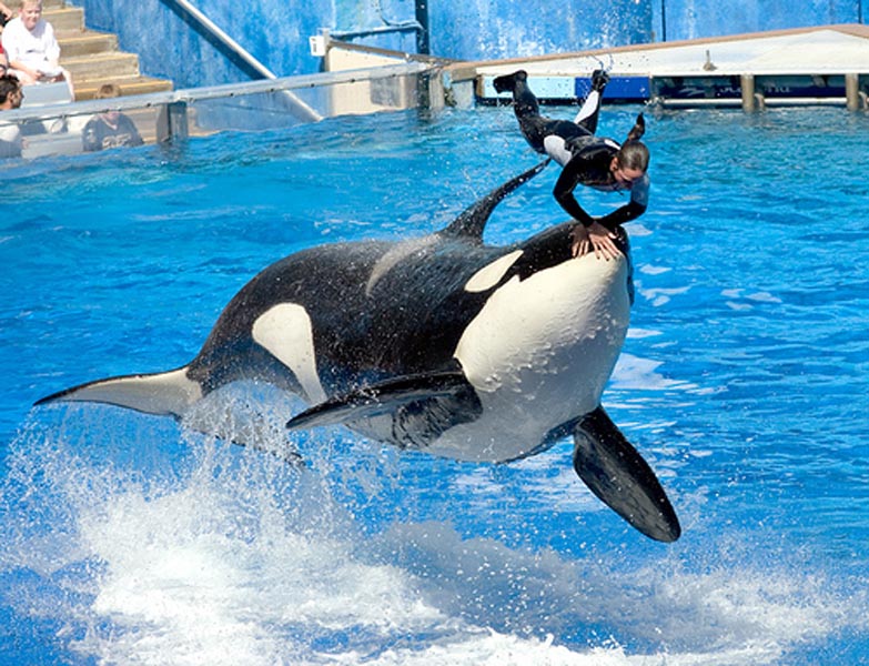 seaworld02.jpg