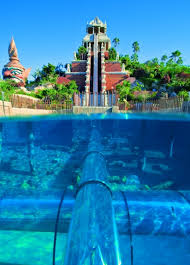 siam_park.jpg