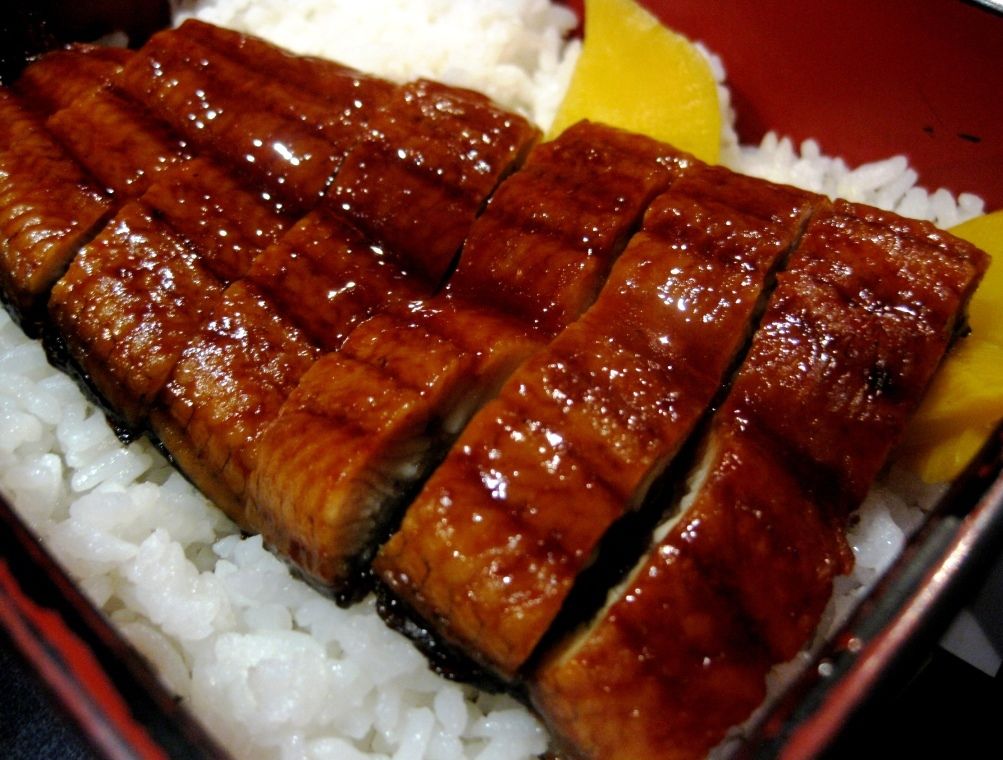 Unagi.jpg