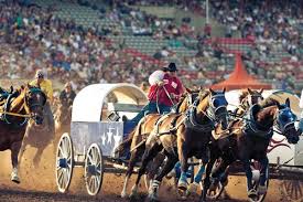 The_Calgary_Stampede_Calgary.jpg