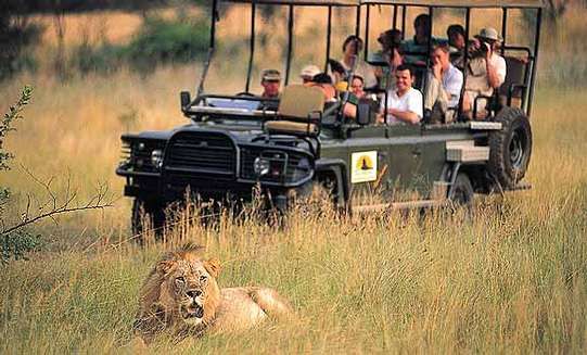 Kruger National Park