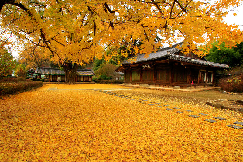 Daegu Haeinsa-Temple Andong Mt.Sorak