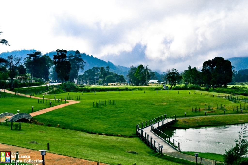 Colombo – Nuwara Eliya