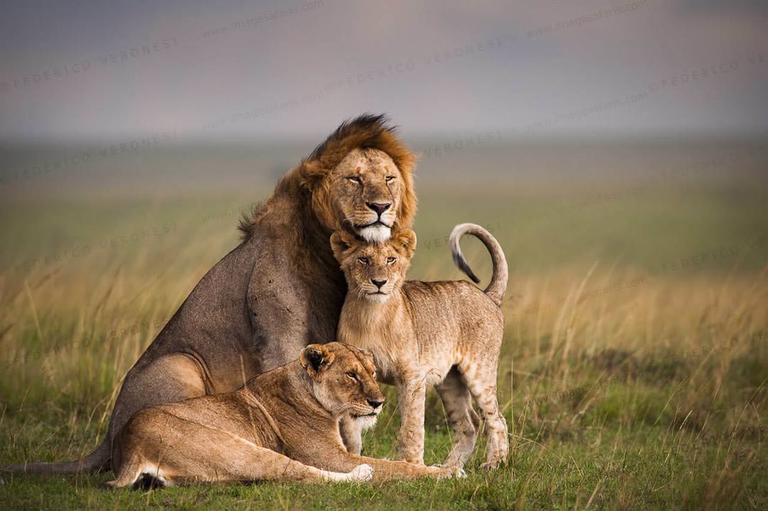 Masai Mara