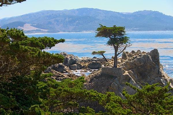 Monterey, Carmel and 17 Mile Drive