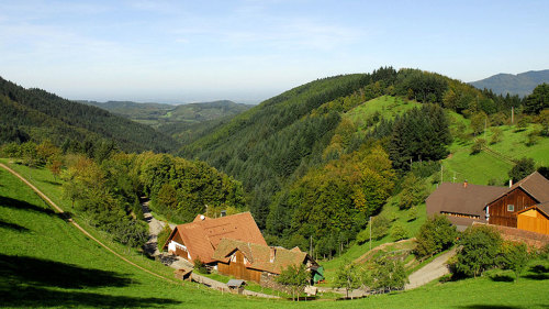 FRANKFURT - TOUR TO HEIDELBERG 