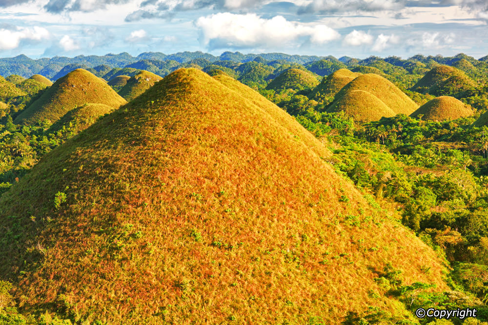 Bohol Island Hopping Tour