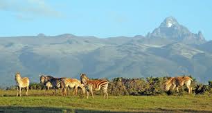 Mt.Kenya