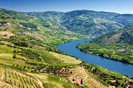 In Porto - Full-Day Tour to Duoro Valley