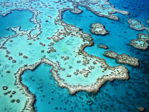 Hamilton Island