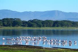 Lake Naivasha