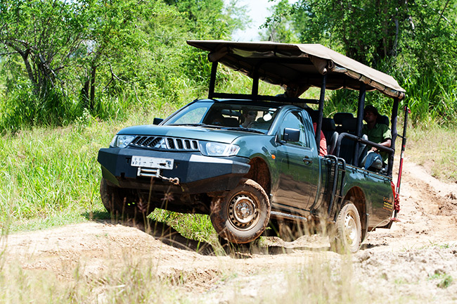 Colombo-Yala National Park